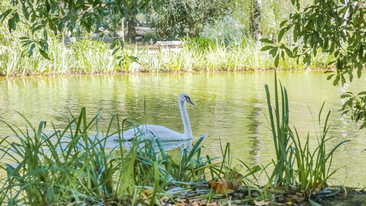 Casa Dos Capinha Villa Caldas Da Rainha Bagian luar foto